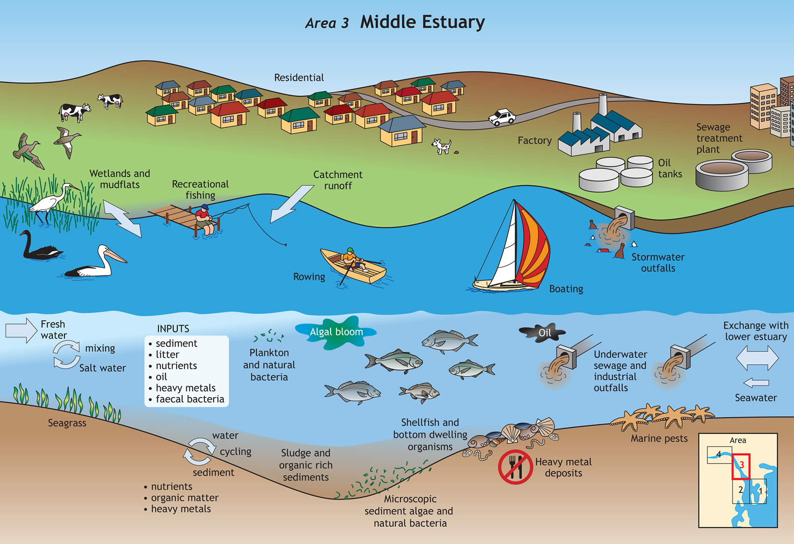 Middle estuary. Diagrams produced by Land Tasmania © State of Tasmania.