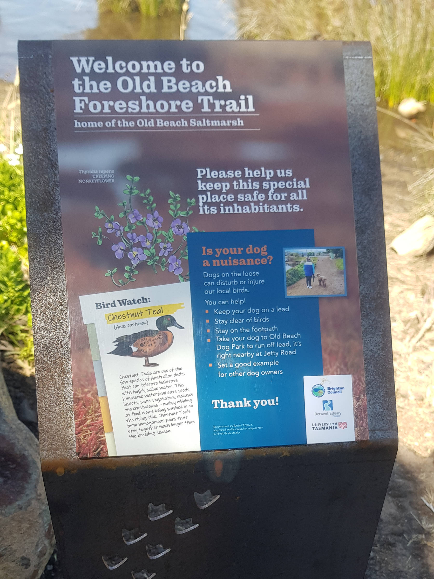 Old Beach Foreshore Trail signage. Image: Derwent Estuary Program.