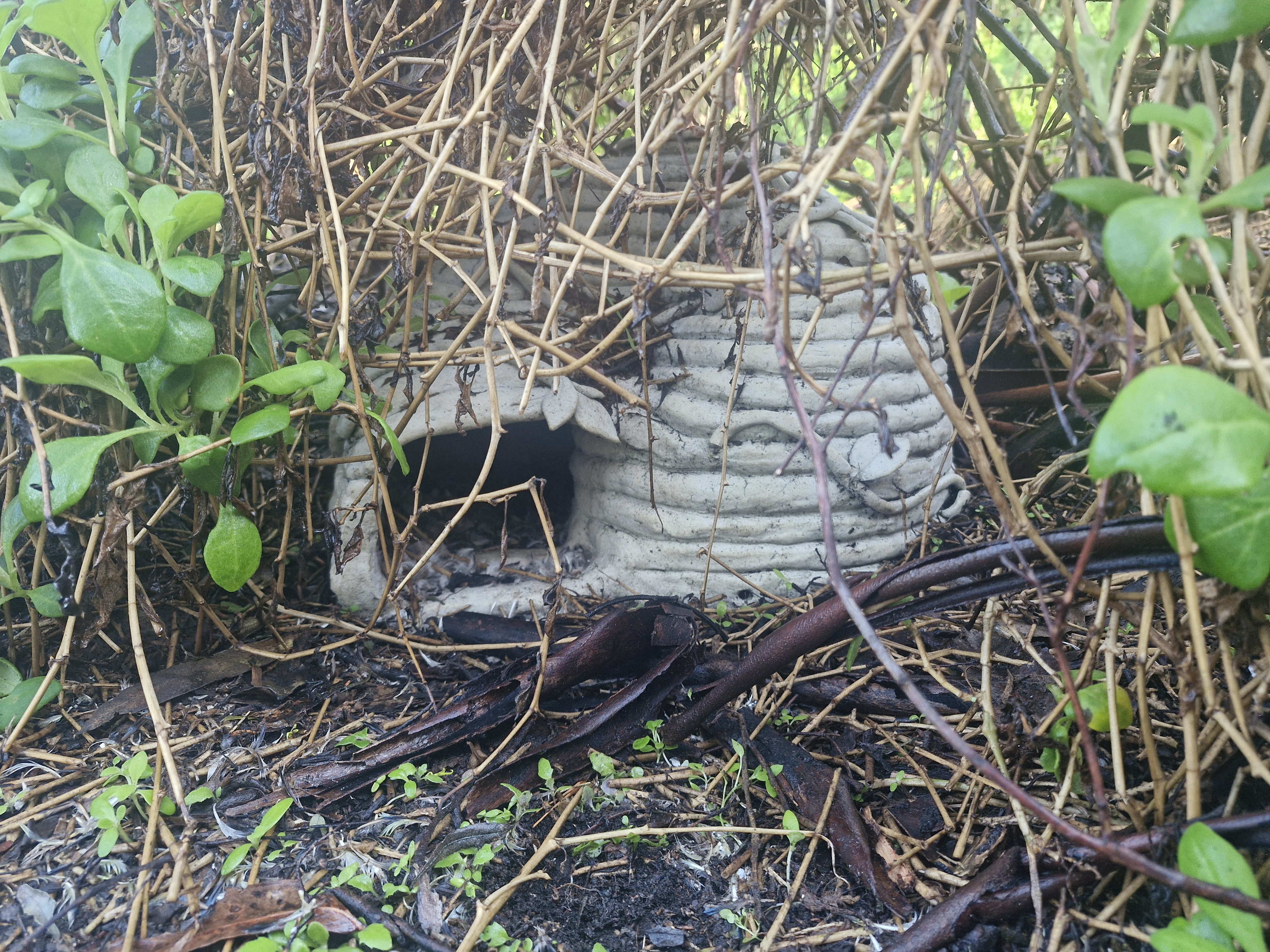 Little Penguin ceramic art burrow. Image: Bridget Jupe.