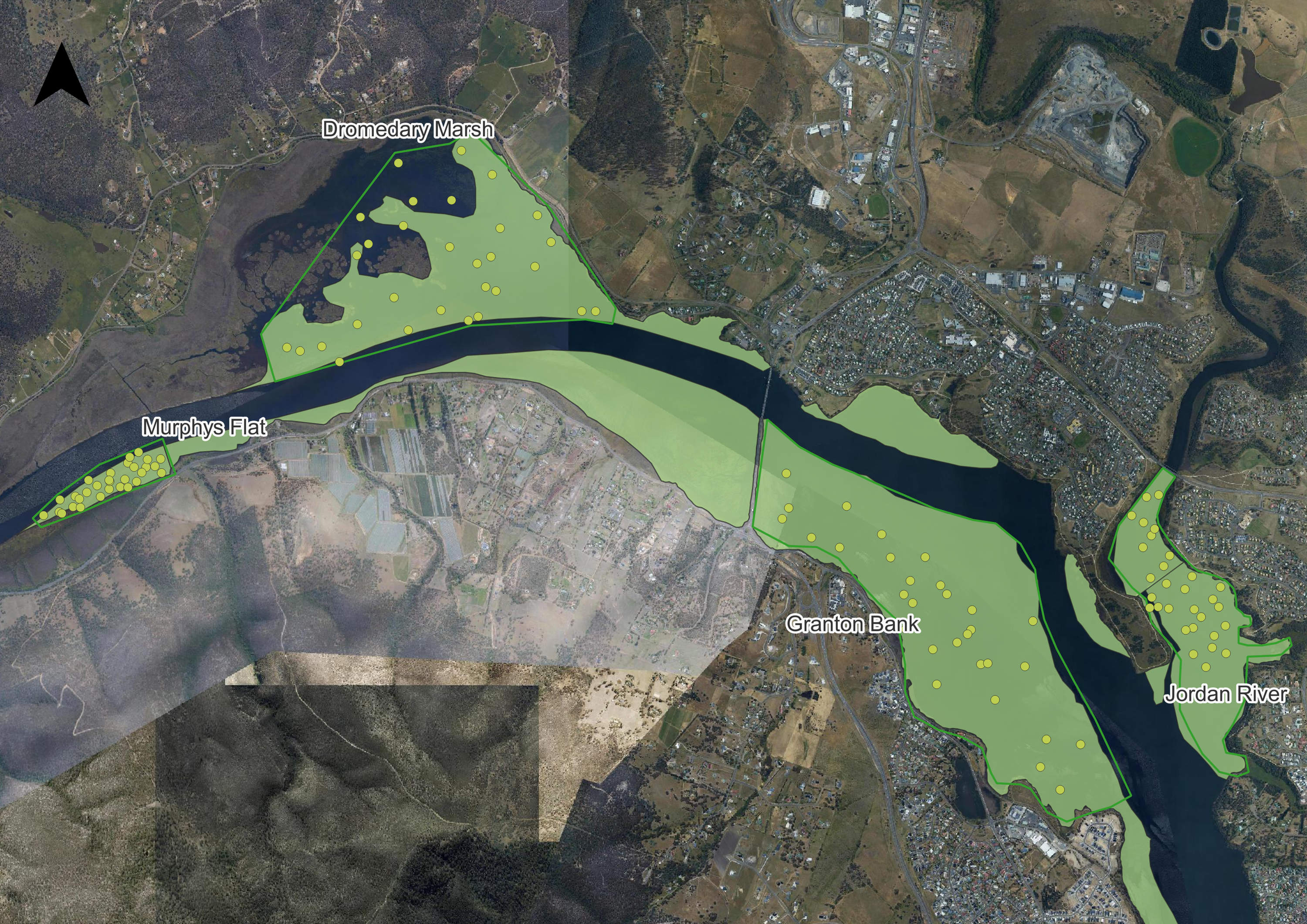 Seagrass survey location map