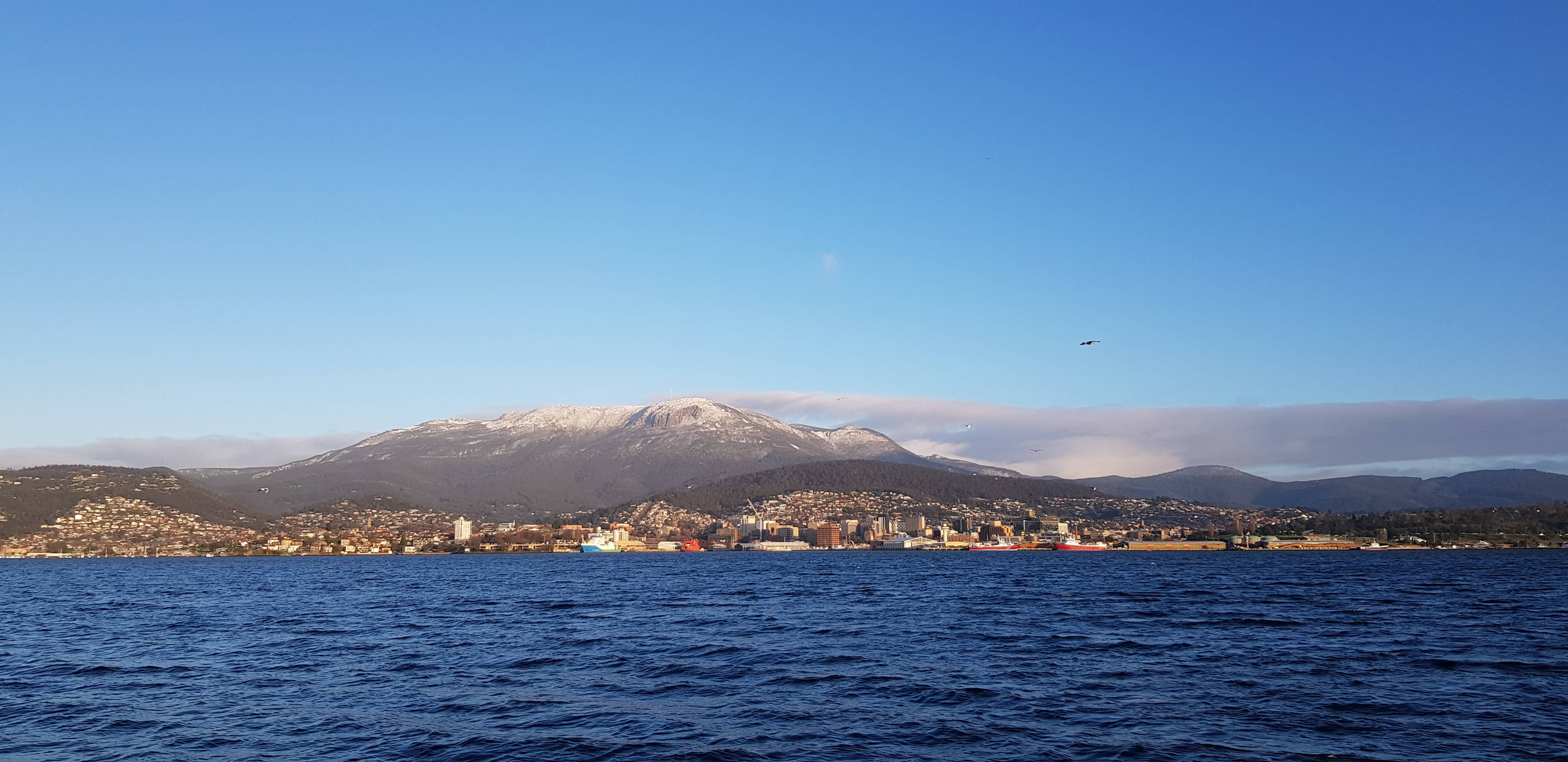 View of kunanyi / Mount Wellington across the timtimili minanya / Derwent Estuary. Image: Derwent Estuary Program.