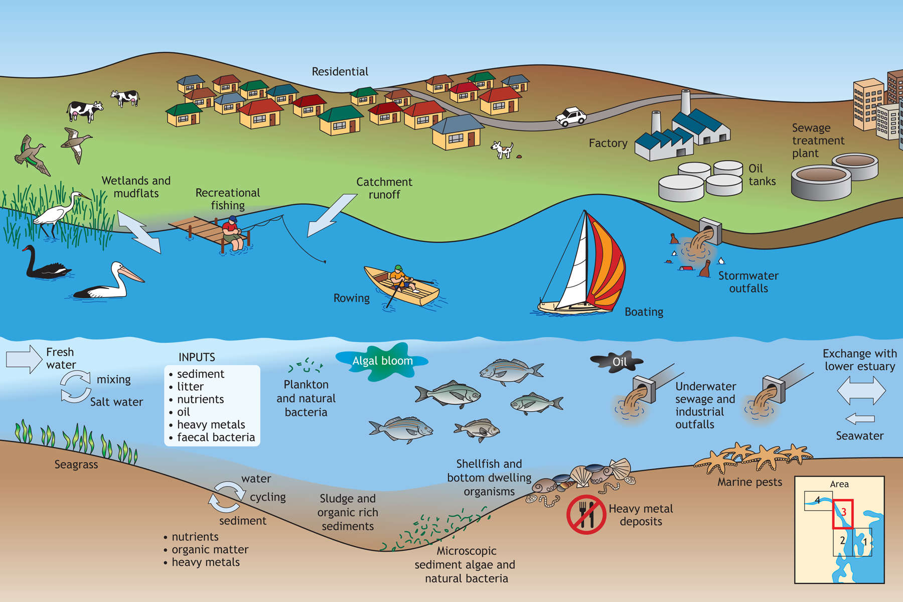 Middle estuary. Diagrams produced by Land Tasmania © State of Tasmania.