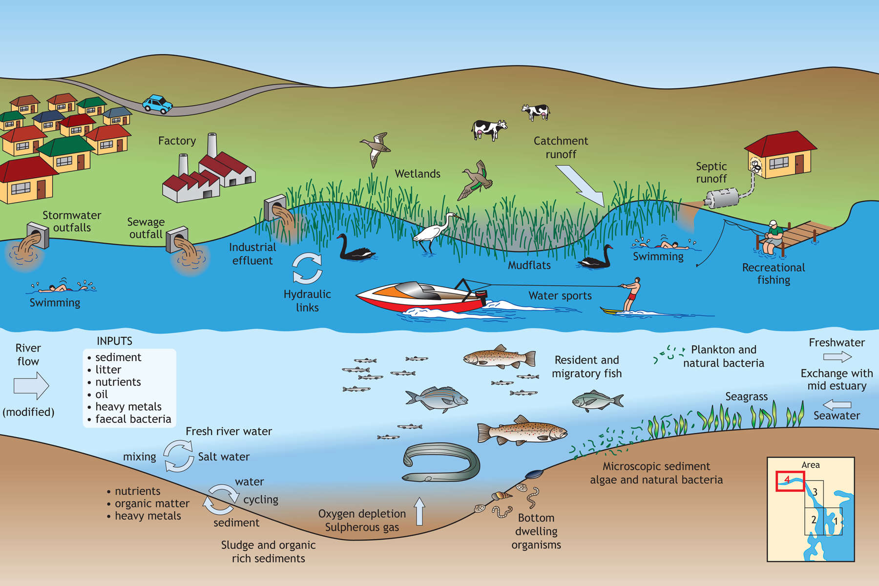 Upper estuary. Diagrams produced by Land Tasmania © State of Tasmania.