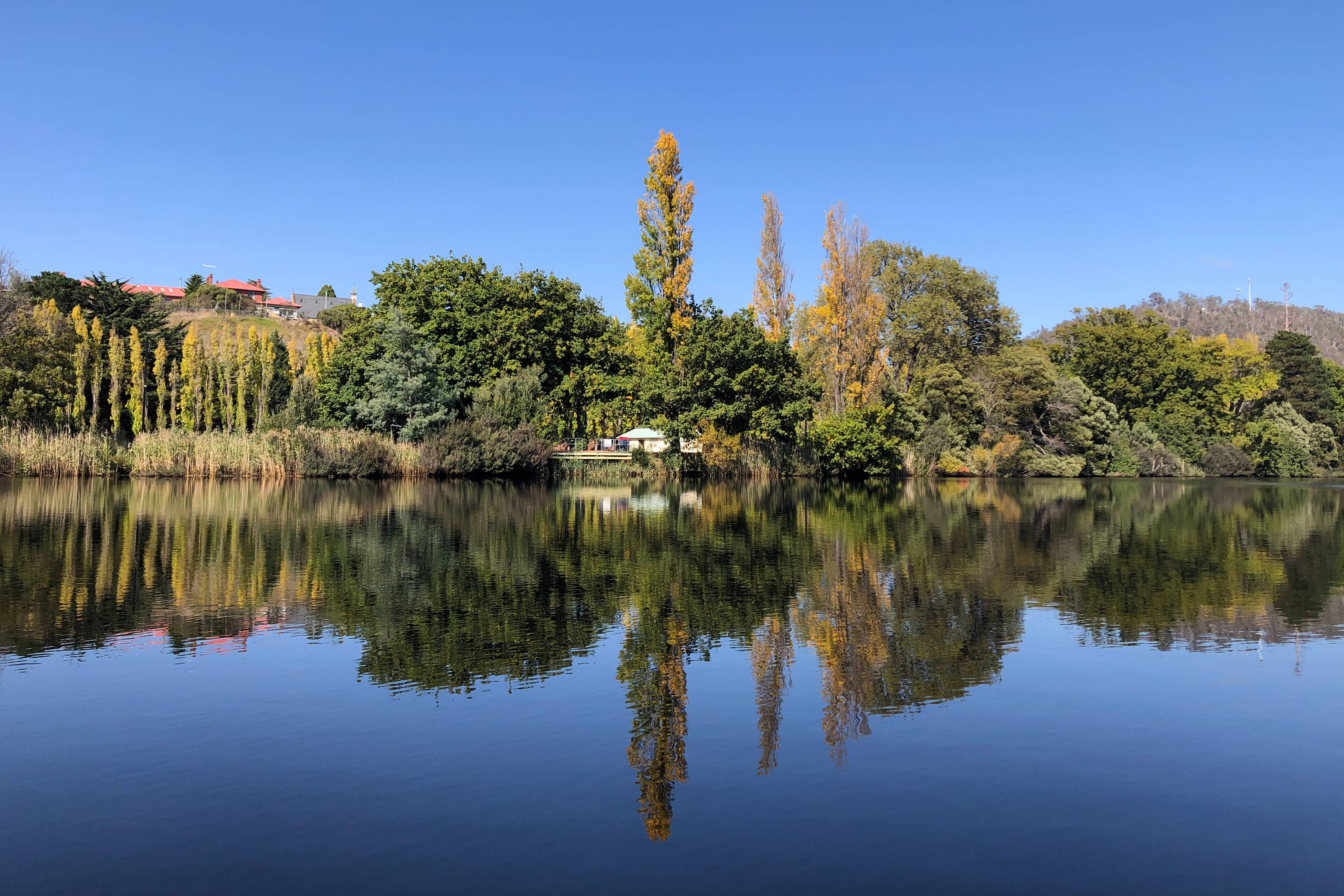 The timtumili minanya / Derwent Estuary at New Norfolk, Tasmania. Image: Derwent Estuary Program.